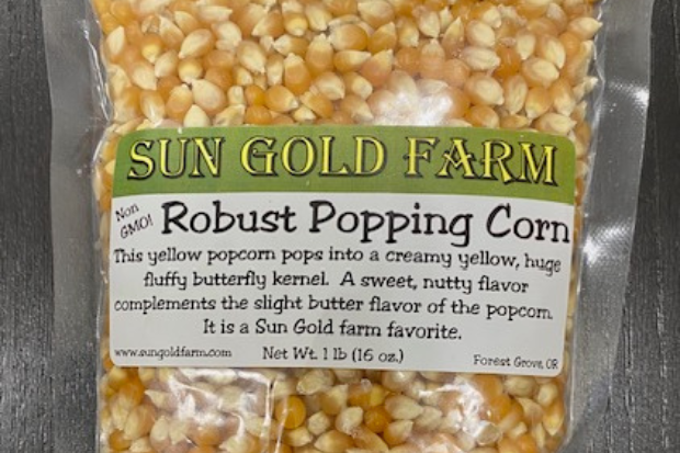 Robust Popping Corn (Sun Gold) – Unger Farms